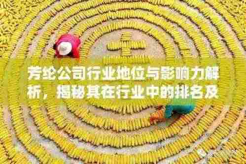 芳纶公司行业地位与影响力解析,揭秘其在行业中的排名及深远影响