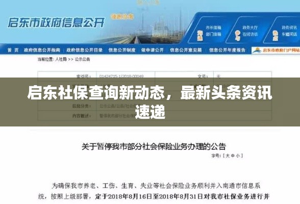 启东社保查询新动态,最新头条资讯速递