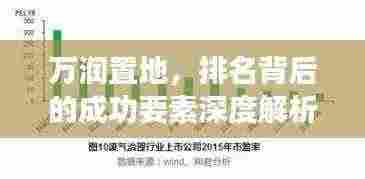 万润置地，排名背后的成功要素深度解析