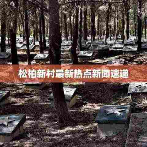 松柏新村最新热点新闻速递