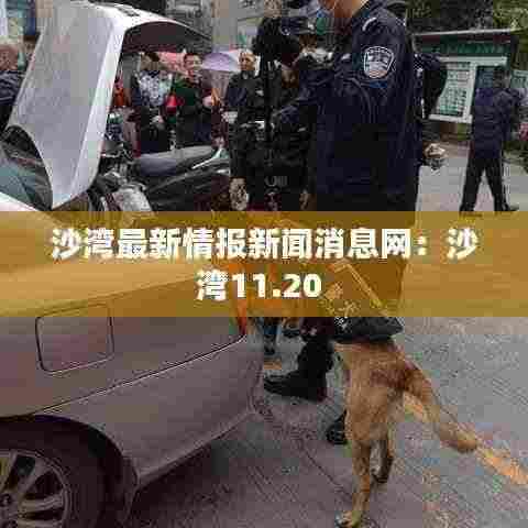 沙湾最新情报新闻消息网:沙湾11.20