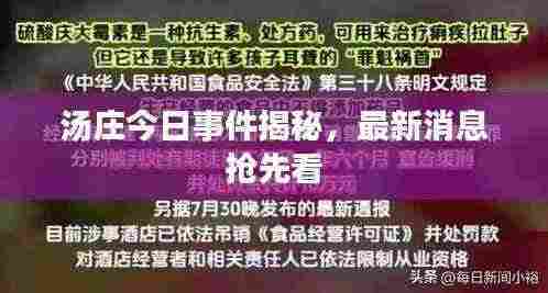 汤庄今日事件揭秘,最新消息抢先看