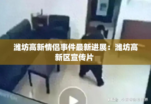 潍坊高新情侣事件最新进展:潍坊高新区宣传片