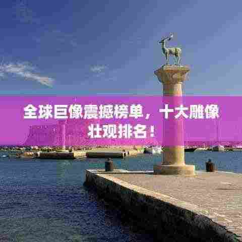 展翅高飞 第3页