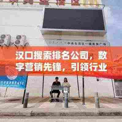 汉口搜索排名公司，数字营销先锋，引领行业风潮