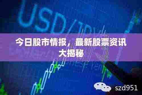 今日股市情报,最新股票资讯大揭秘