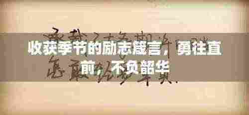 收获季节的励志箴言,勇往直前,不负韶华