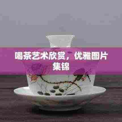 喝茶艺术欣赏，优雅图片集锦