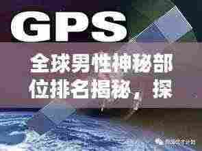 全球男性神秘部位排名揭秘，探索未知领域的奥秘！