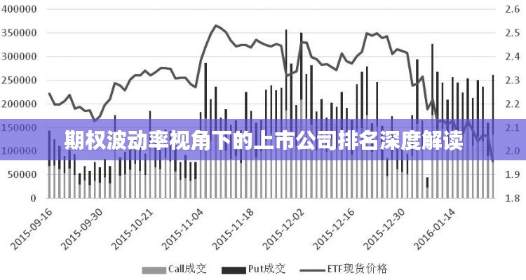期权波动率视角下的上市公司排名深度解读