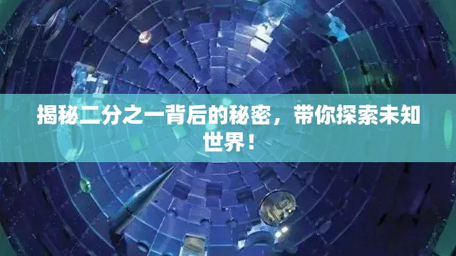 揭秘二分之一背后的秘密,带你探索未知世界!