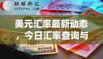 美元汇率最新动态,今日汇率查询与影响因素深度解析