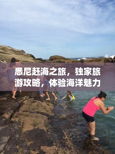 悉尼赶海之旅,独家旅游攻略,体验海洋魅力