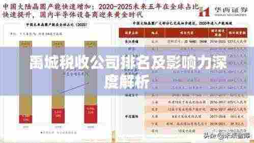 禹城税收公司排名及影响力深度解析