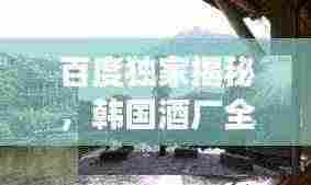百度独家揭秘,韩国酒厂全景展示