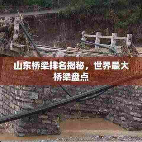 山东桥梁排名揭秘,世界最大桥梁盘点
