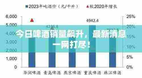 今日啤酒销量飙升,最新消息一网打尽!