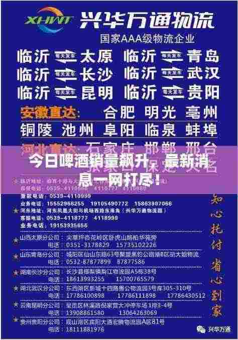 今日啤酒销量飙升,最新消息一网打尽!