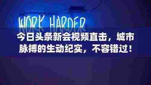 屦贱踊贵 第4页