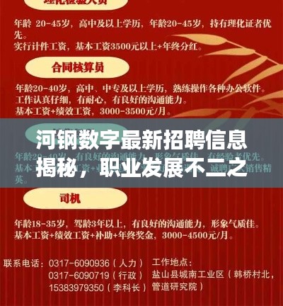 河钢数字最新招聘信息揭秘，职业发展不二之选