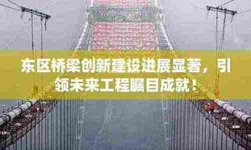 东区桥梁创新建设进展显著，引领未来工程瞩目成就！