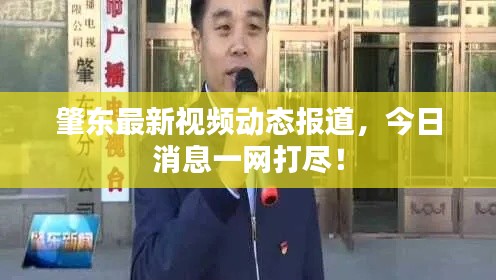 肇东最新视频动态报道，今日消息一网打尽！