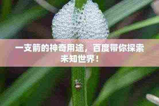 一支箭的神奇用途,百度带你探索未知世界!