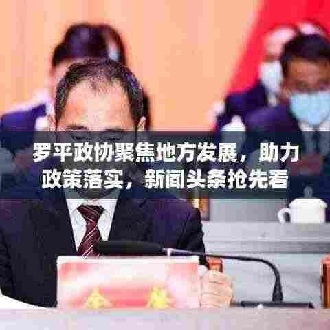 罗平政协聚焦地方发展，助力政策落实，新闻头条抢先看