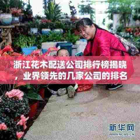 浙江花木配送公司排行榜揭晓，业界领先的几家公司的排名！