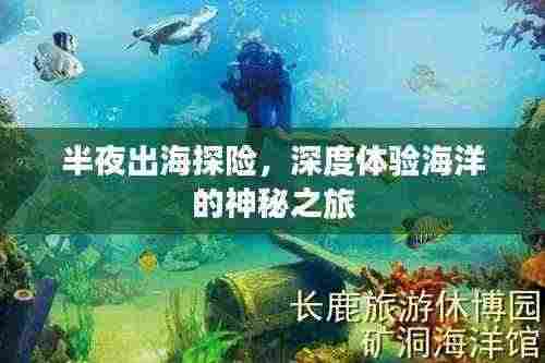 半夜出海探险，深度体验海洋的神秘之旅