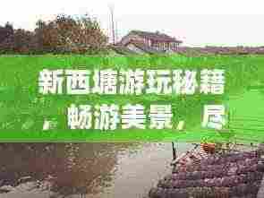 新西塘游玩秘籍，畅游美景，尽享风情！