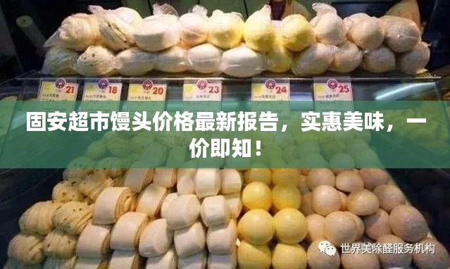 固安超市馒头价格最新报告,实惠美味,一价即知!