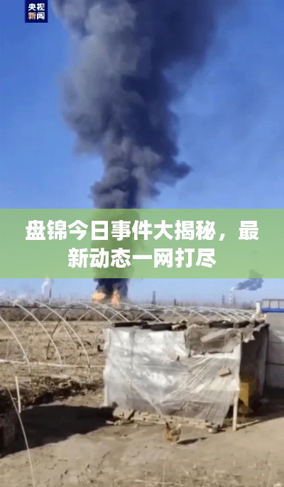 盘锦今日事件大揭秘，最新动态一网打尽