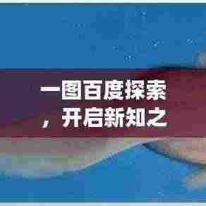 一图百度探索,开启新知之旅