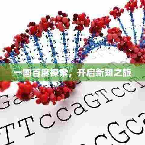 一图百度探索,开启新知之旅