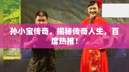 孙小宝传奇，揭秘传奇人生，百度热推！