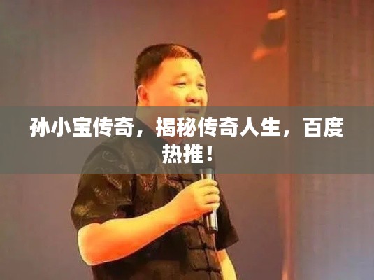 孙小宝传奇,揭秘传奇人生,百度热推!