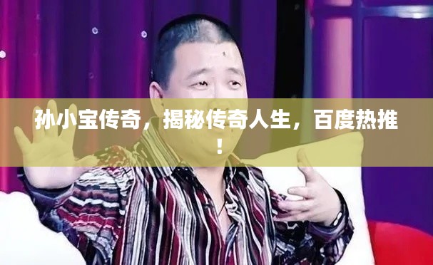 孙小宝传奇,揭秘传奇人生,百度热推!