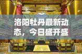 洛阳牡丹最新动态,今日盛开盛况揭秘