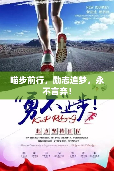 喵步前行,励志追梦,永不言弃!