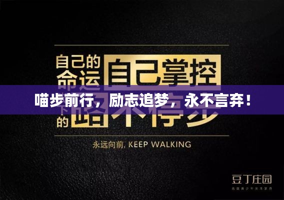 喵步前行,励志追梦,永不言弃!