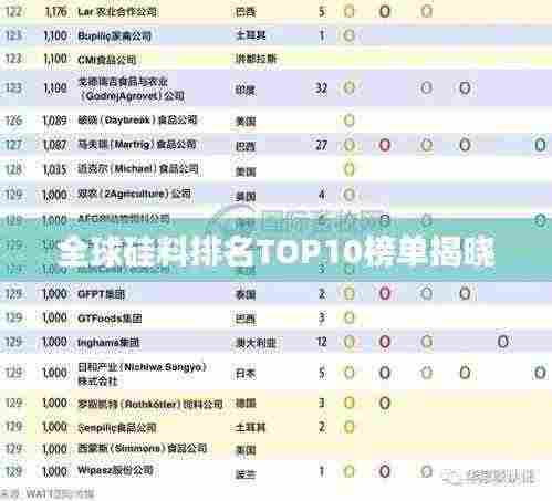 全球硅料排名TOP10榜单揭晓