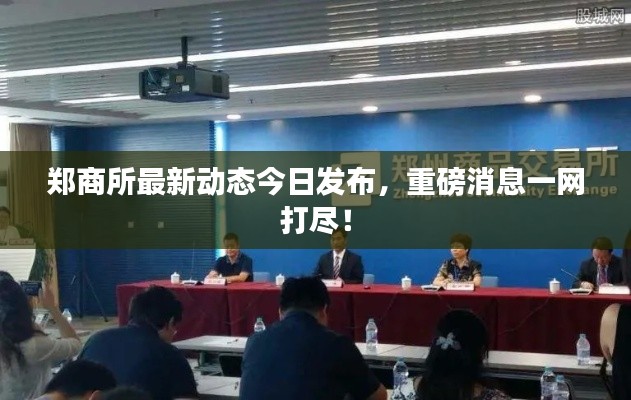 郑商所最新动态今日发布,重磅消息一网打尽!