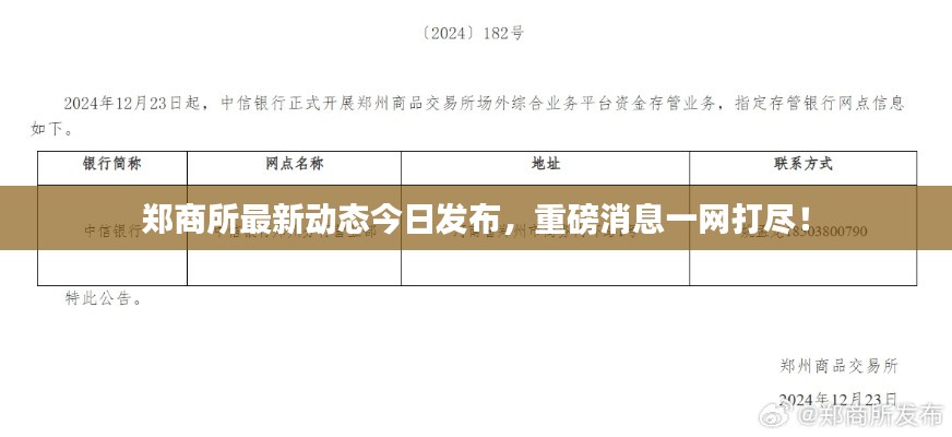 郑商所最新动态今日发布,重磅消息一网打尽!