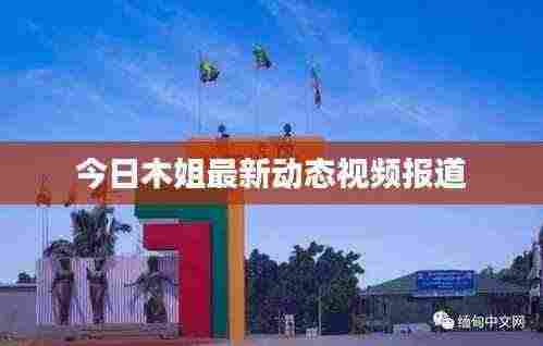 今日木姐最新动态视频报道