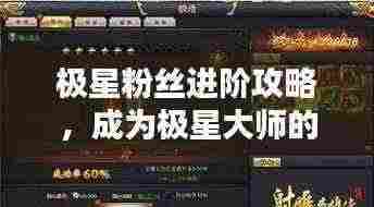 极星粉丝进阶攻略,成为极星大师的秘诀大揭秘!