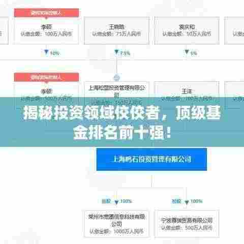 揭秘投资领域佼佼者，顶级基金排名前十强！