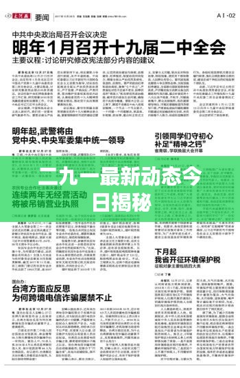 二九一最新动态今日揭秘