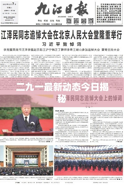 二九一最新动态今日揭秘