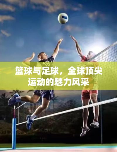 篮球与足球,全球顶尖运动的魅力风采